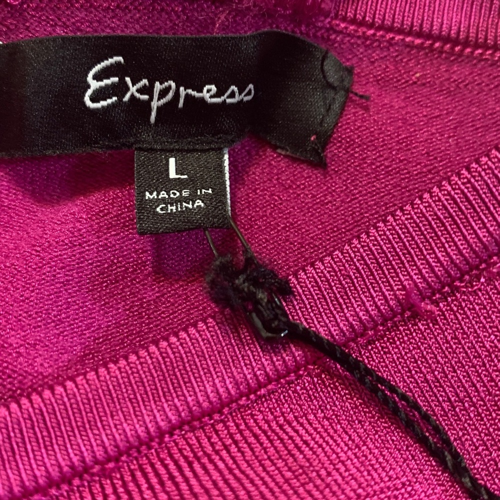 Express Hot Pink Dress - Picture 10 of 11